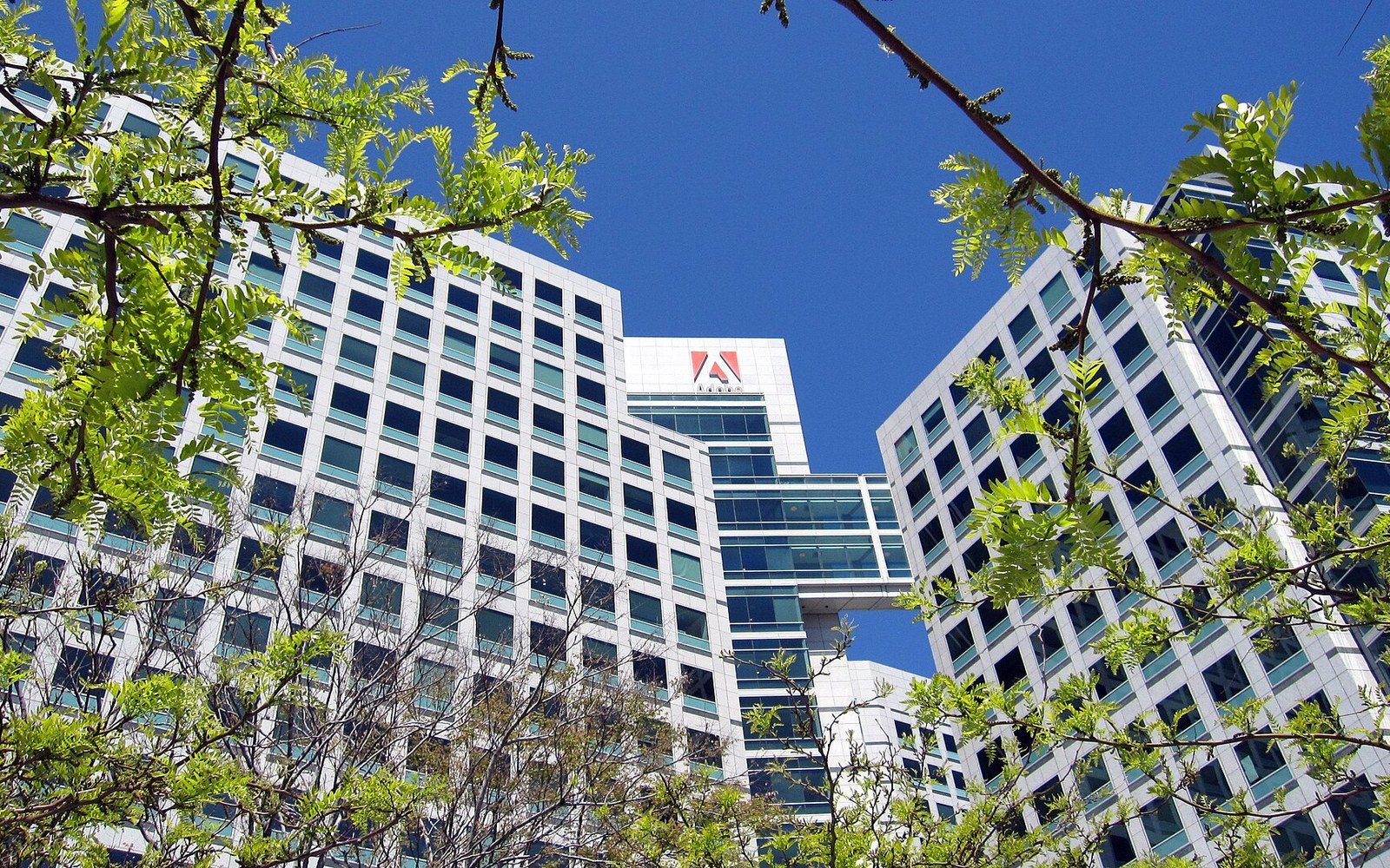 Adobe corporate building exterior with signage, photographed from street level
